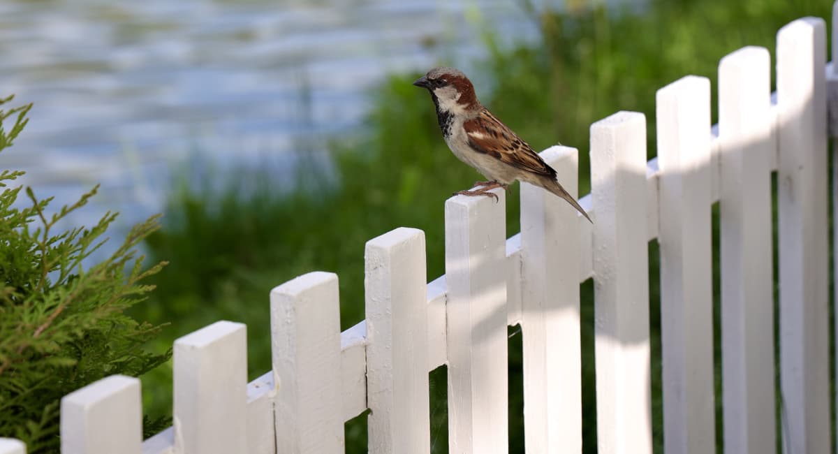 Забор рухнет уже через год — такие ошибки при установке фундамента допускает каждый 2