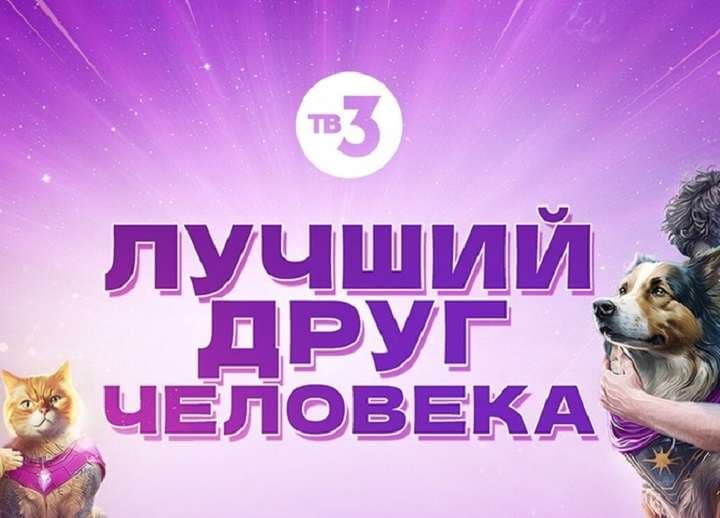 О спасшей семью из Каменска-Уральского собаке Джесси расскажут на ТВ-3