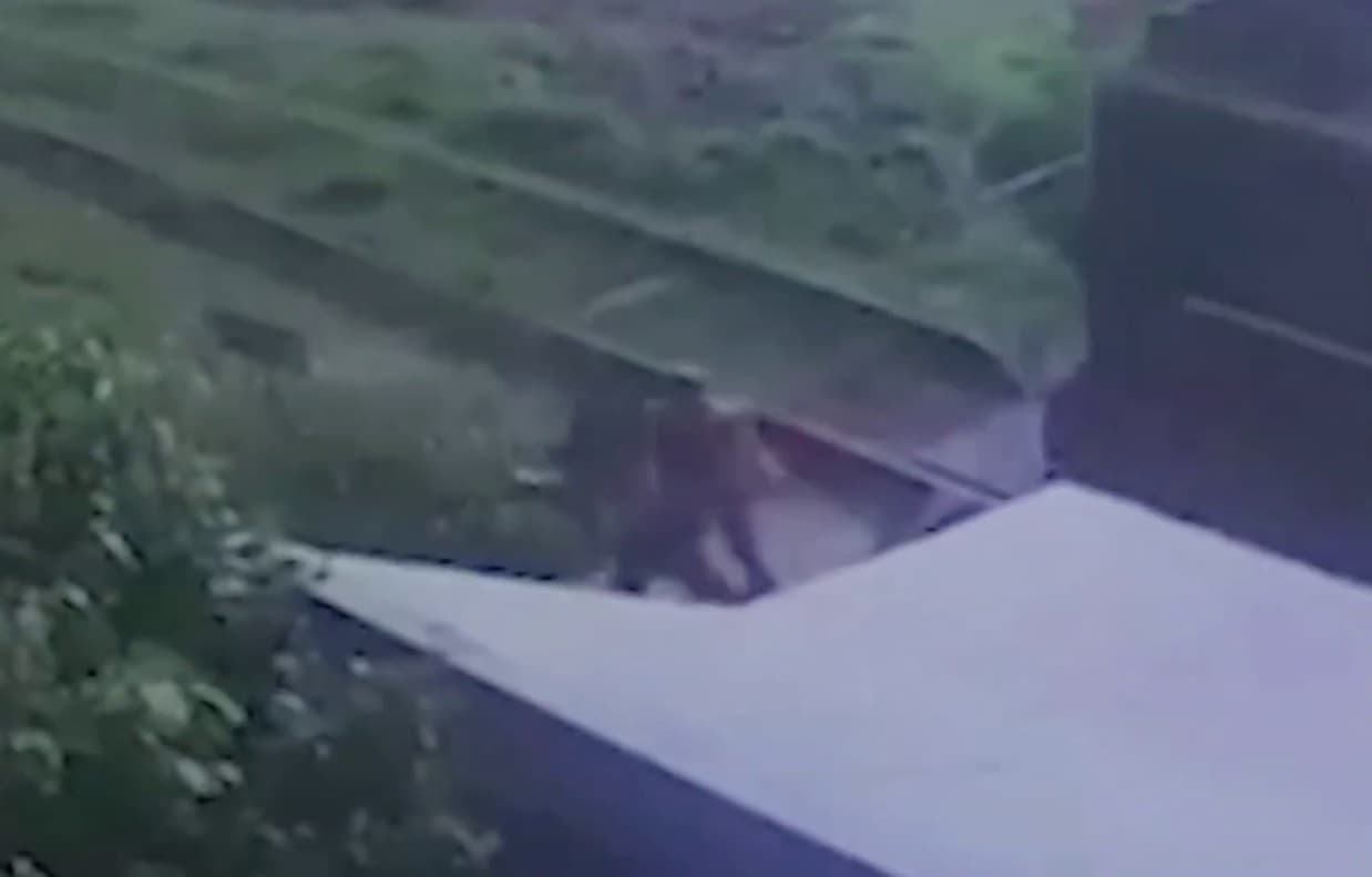 В Подмосковье поезд чуть не сбил девушку в наушниках