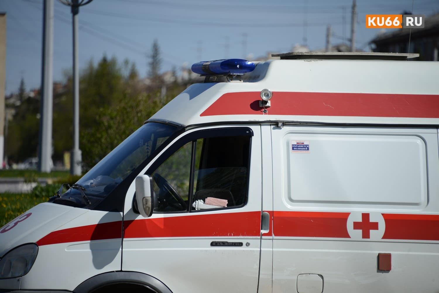 В Свердловской области на восьмилетнюю девочку напал неизвестный зверь