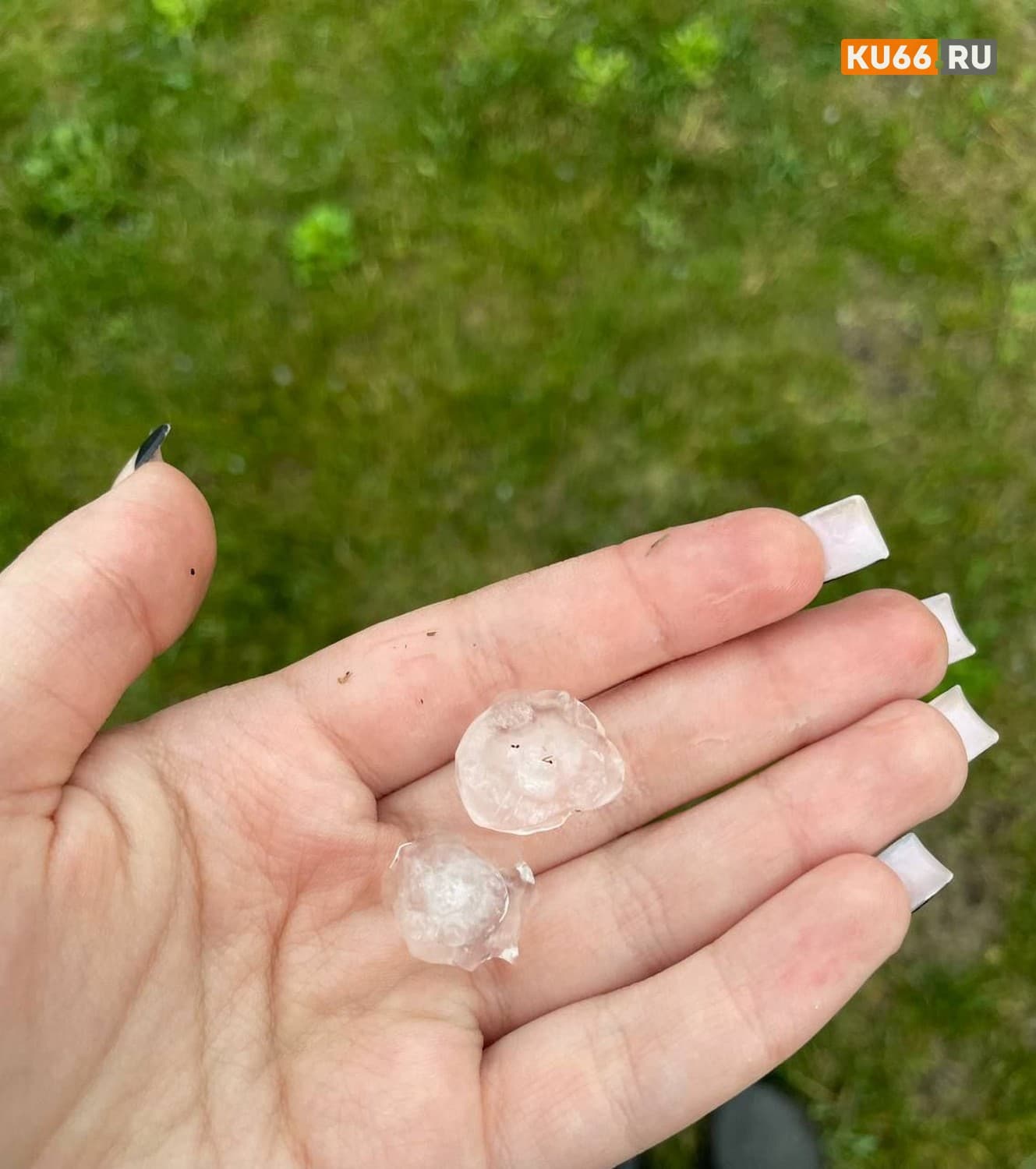 Изображение 3