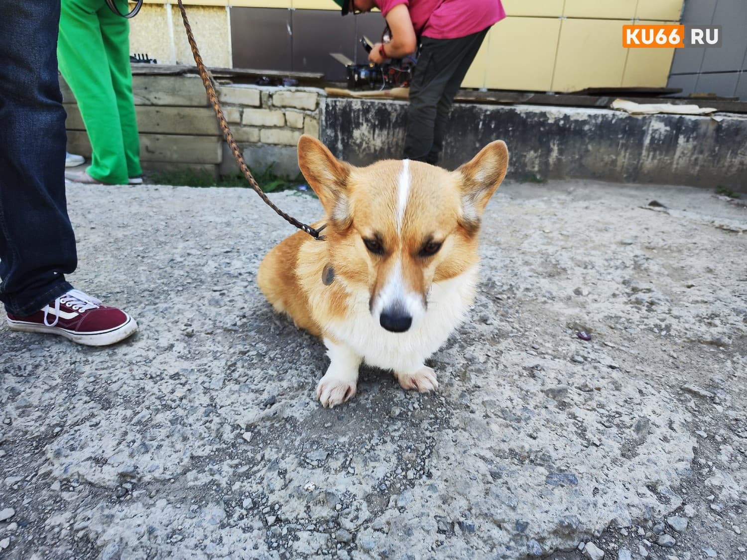 Изображение 1