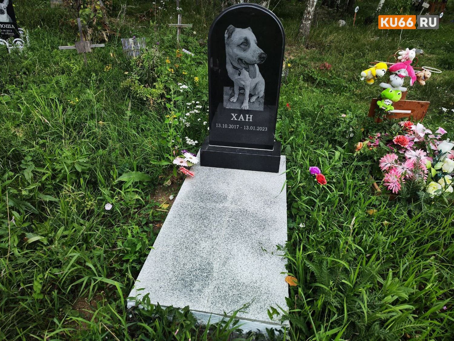 Могила для любимой кошки — рассказываем, сколько жители Каменска-Уральского готовы потратить на памятники для своих питомцев 