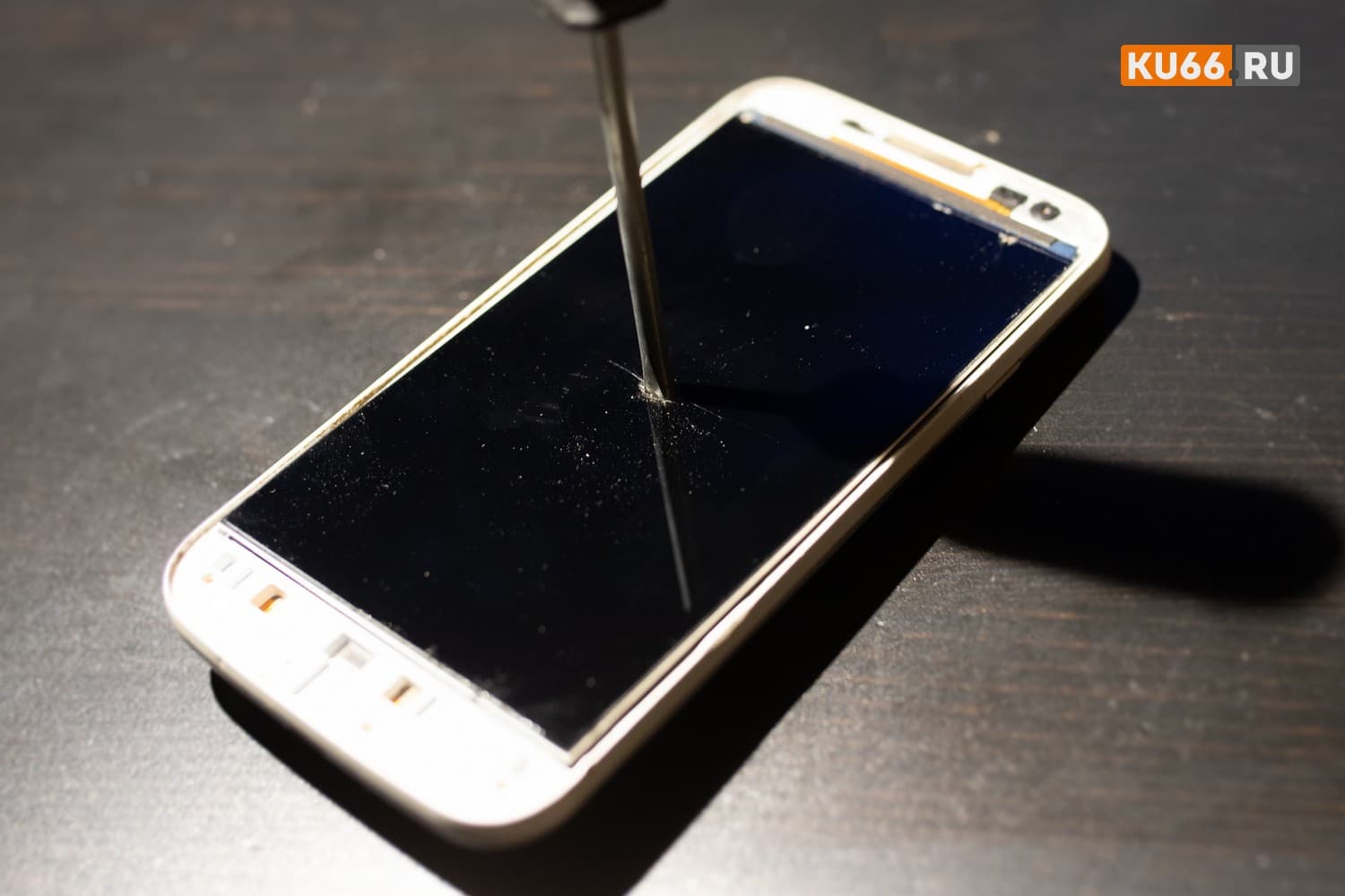 Россиянам рассказали об опасности старых мобильных номеров