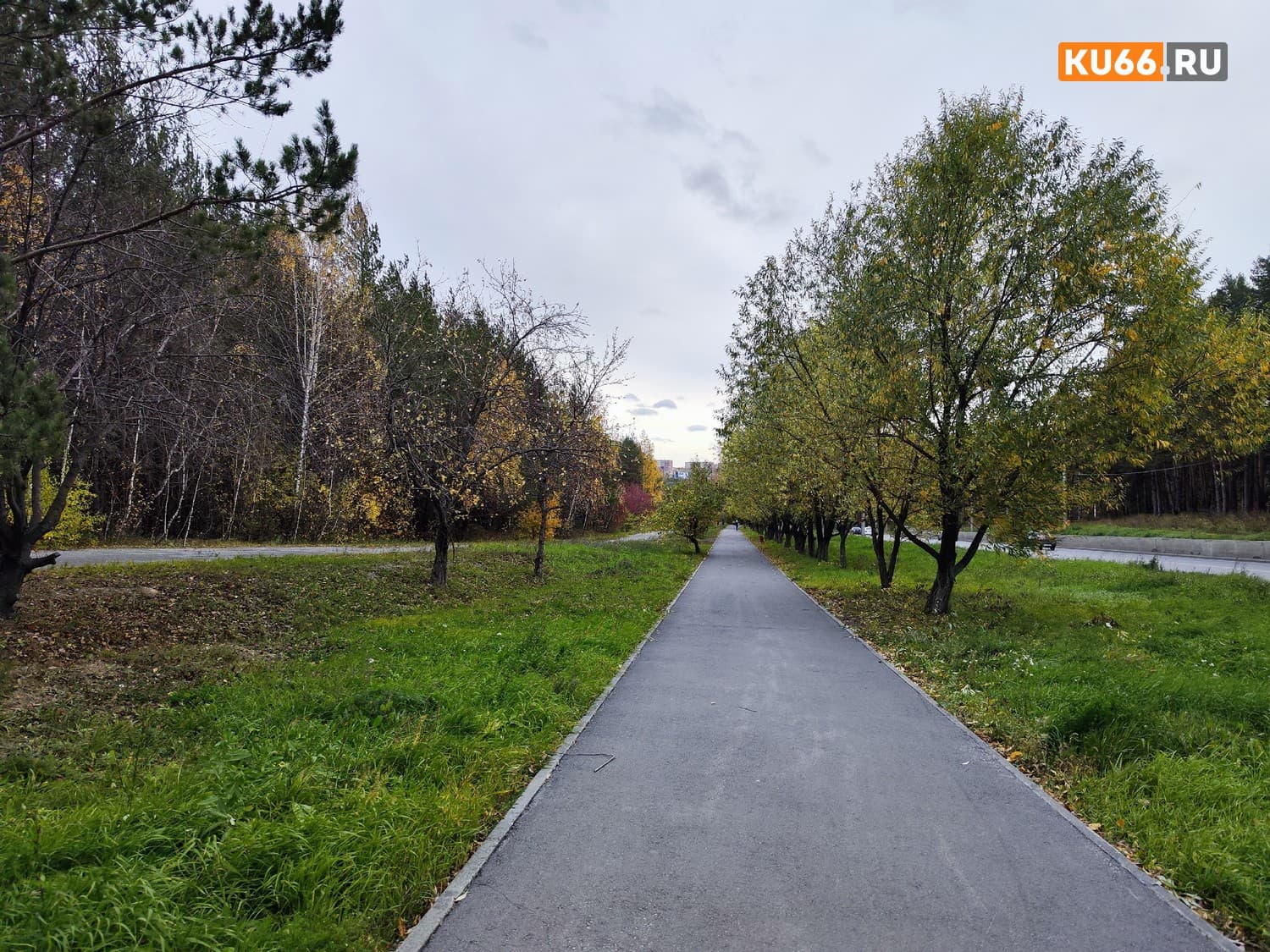 В Каменске-Уральском не будут освещать участок, в районе которого нашли тело 16-летней Даны