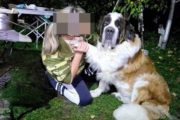 Под Каменском-Уральским спасли провалившуюся в Исеть собаку