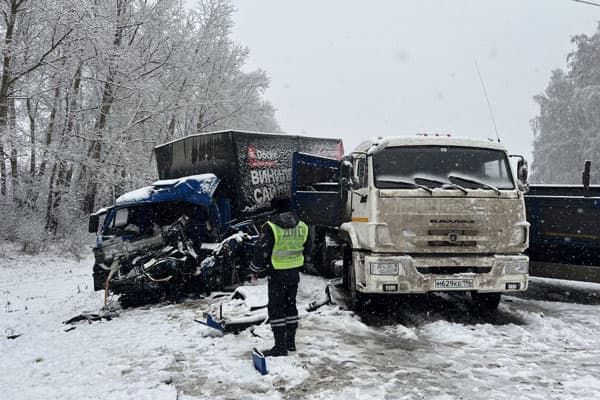 В ГИБДД рассказали подробности страшного утреннего ДТП на трассе под Екатеринбургом, в котором погиб водитель фуры