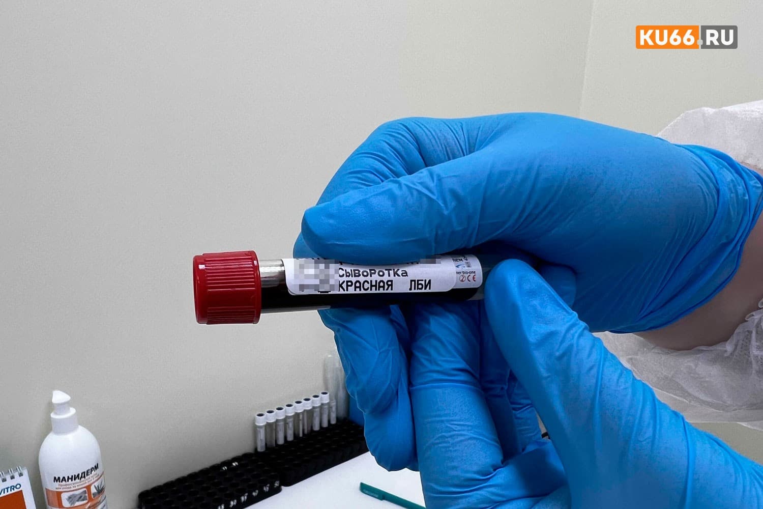 Экспертиза показала, что было в крови у убитой школьницы из Каменска-Уральского перед смертью