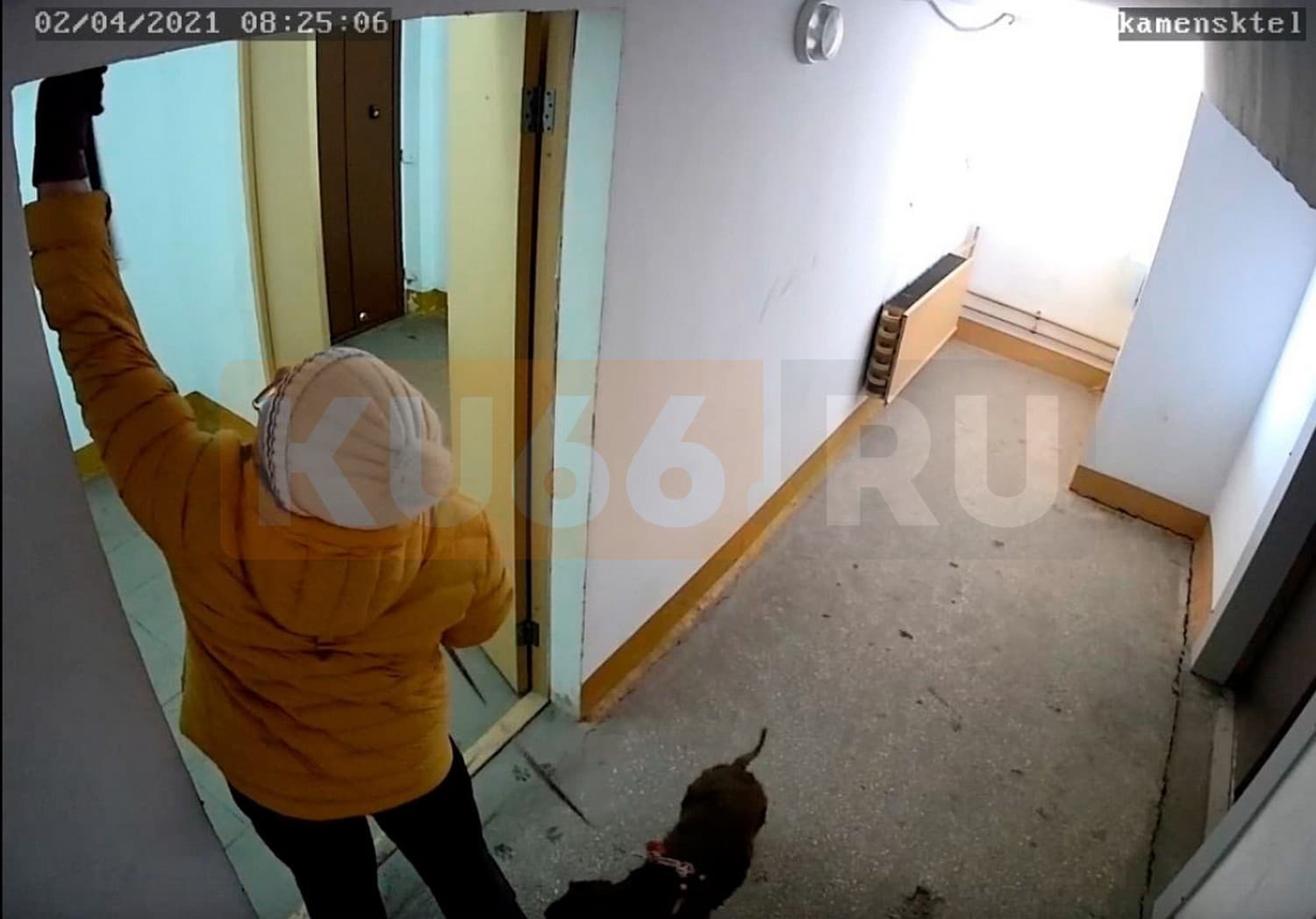 Изображение 2