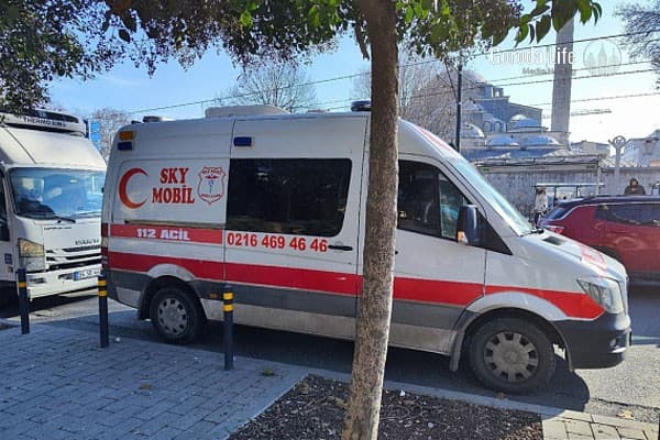 «Могли загрызть кабаны»: пропавшую в Турции россиянку нашли мертвой и обезображенной