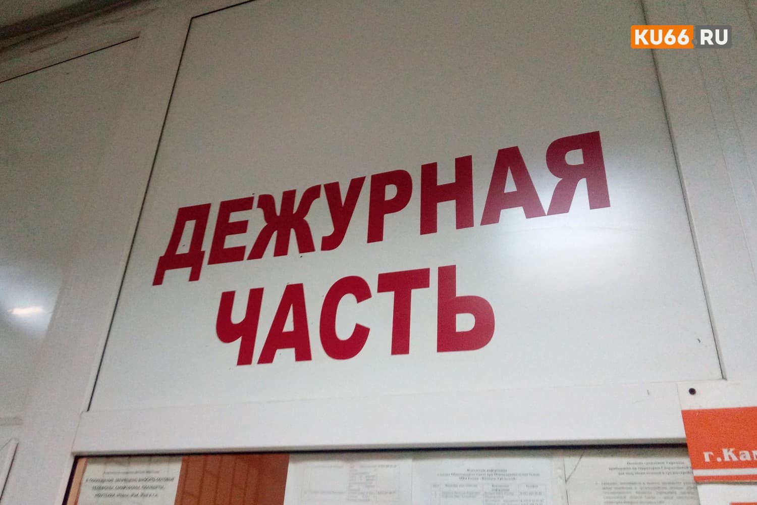 В Каменске-Уральском поймали друзей-распространителей наркотиков из Екатеринбурга 