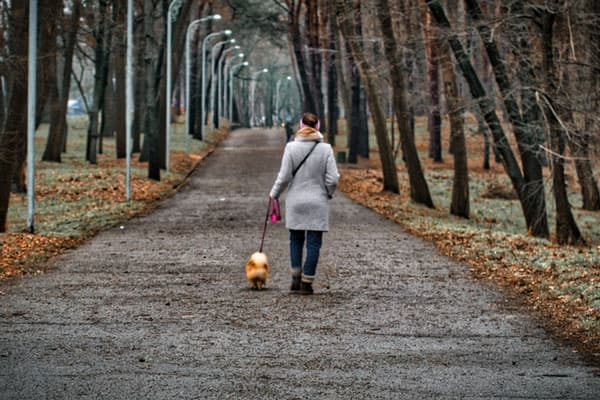 10 тысяч шагов в день не обязательны для улучшения здоровья