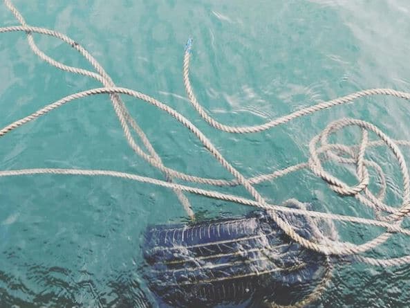 «Паводок добрался и до Челябинска»: тонет посёлок Есаульский