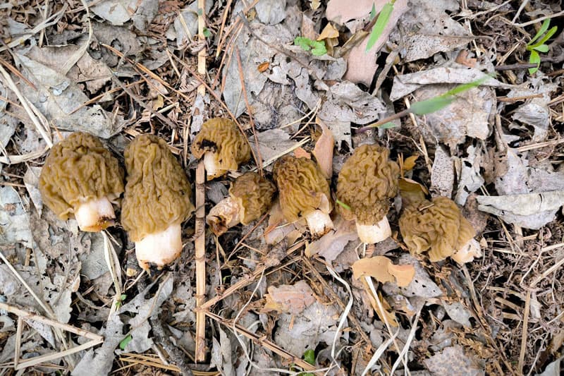 Изображение 7