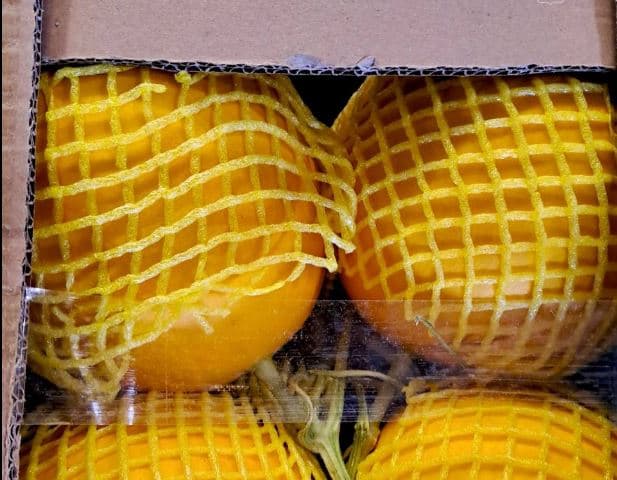 В Свердловскую область привезли первую партию дынь из Китая  