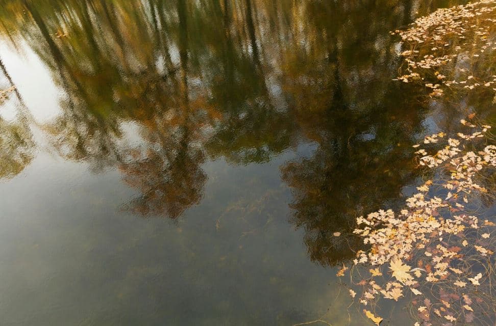 Все свердловские водоёмы оказались непригодны для купания