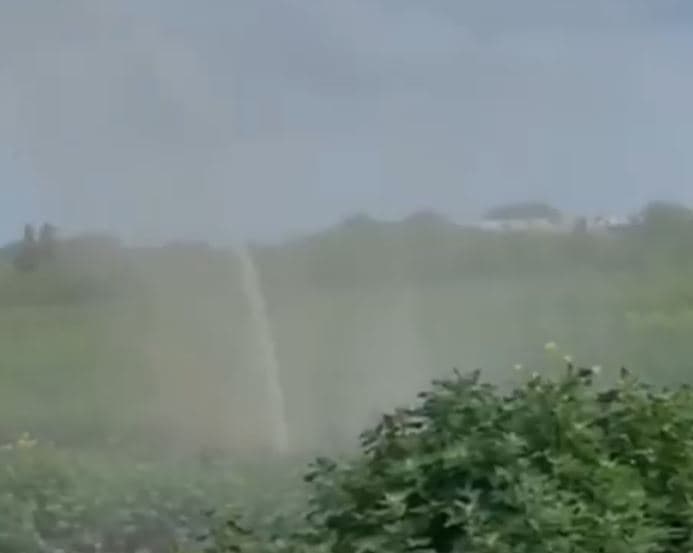 Челябинцы заметили в лесу фекальный «фонтан»