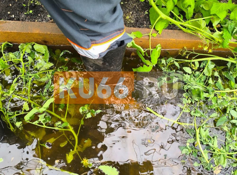 Житель Каменска-Уральского пожаловался на застройщика, который топит частный сектор. Видео