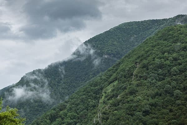 На Камчатке прошло сильнейшее землетрясение