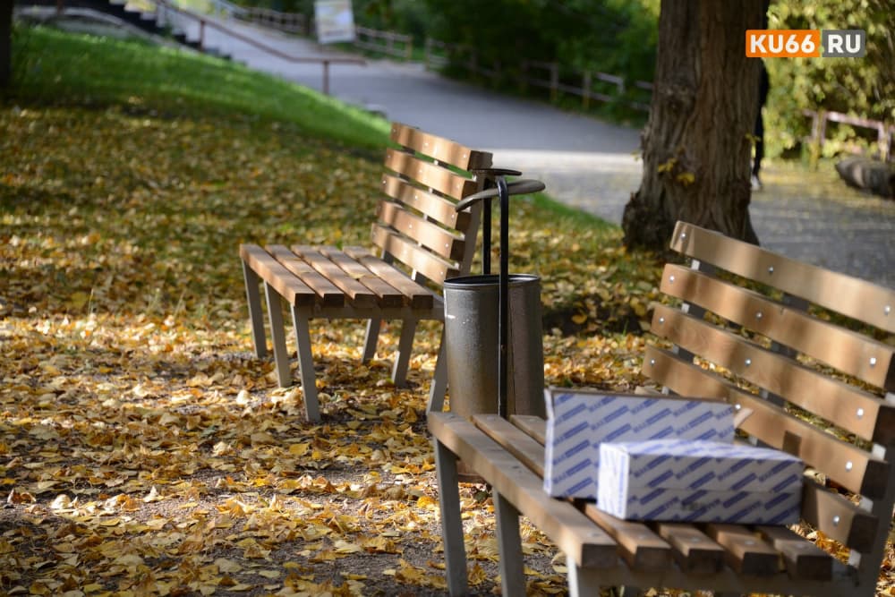 Последние теплые деньки: солнышко согреет уральцев в конце сентября, но в начале недели будет холодно