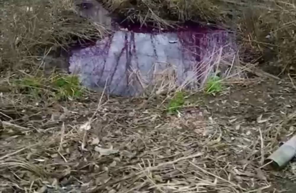 Потоп из тухлого борща произошел в Челябинской области. Видео