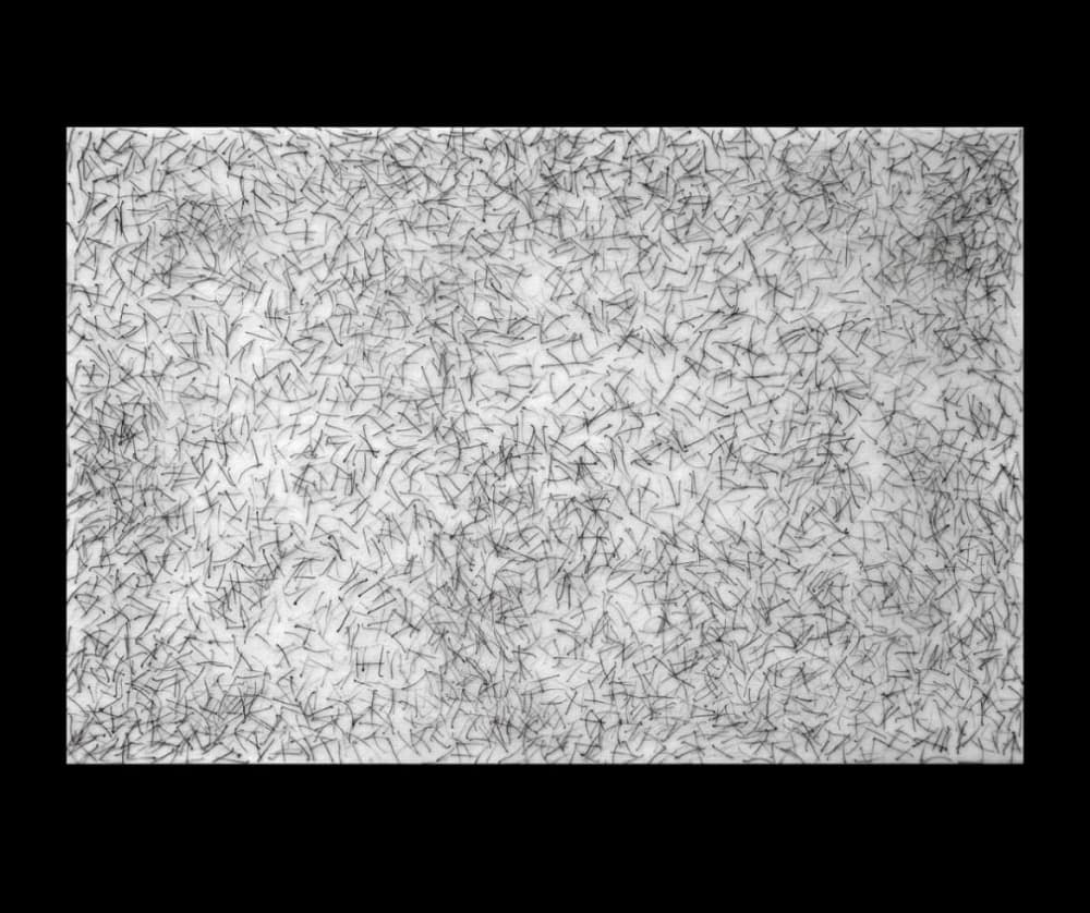 Екатеринбургская художница создает картины из своих лобковых волос. Видео