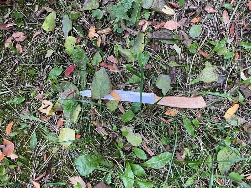 «Блатные понятия» — причина, по которой каменский зэк зарезал человека спустя 5 дней после выхода из тюрьмы