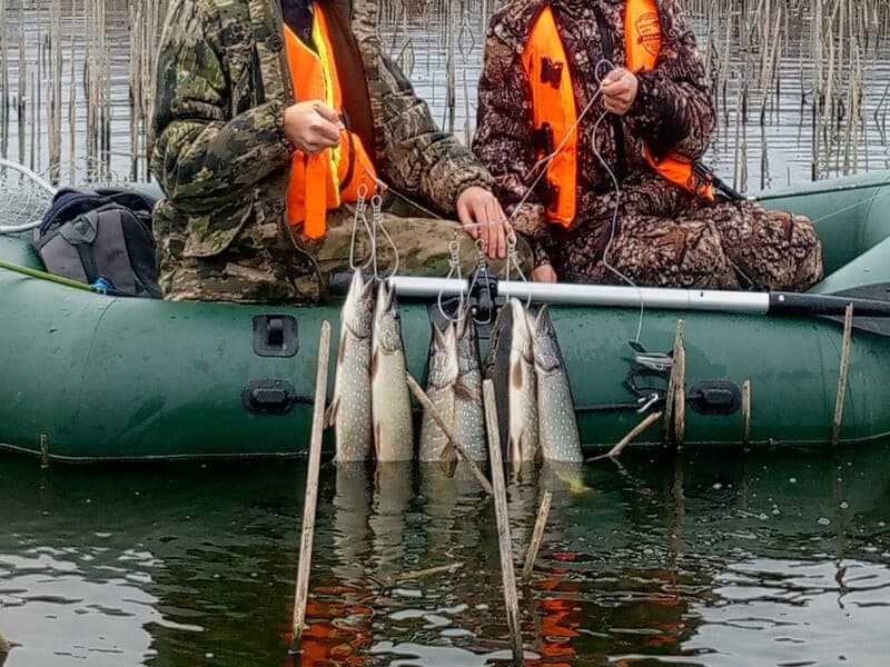 Изображение 2