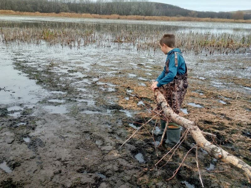 Изображение 3