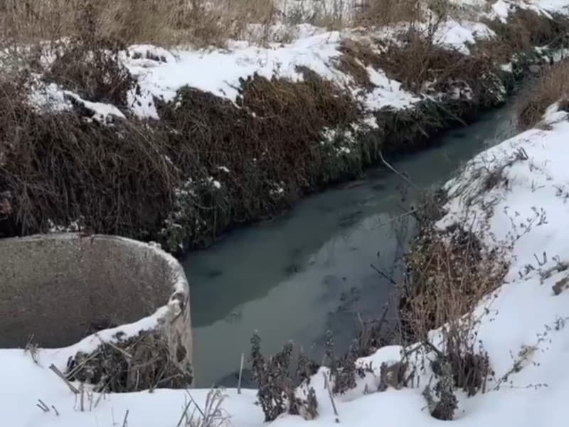«Не в силах изменить направление ветра»: каменцам ответили, почему воняет канализацией