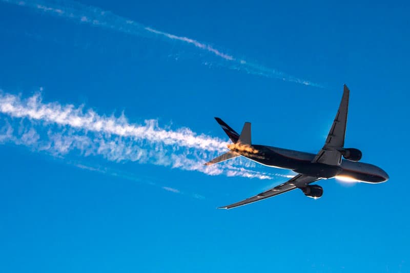 Спряталась в туалете: в Нью-Йорке женщина без билета долетела до Парижа