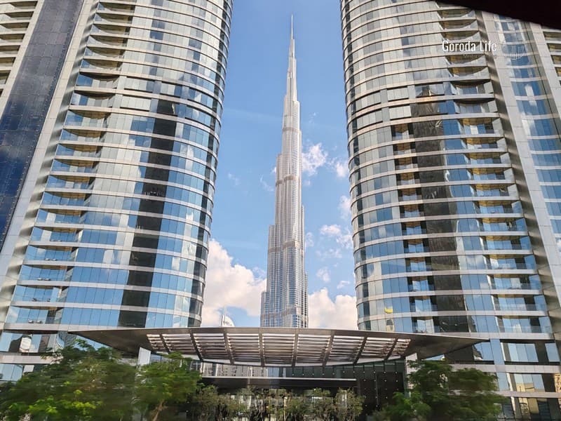 Больше двух тонн тушенки отправили из Свердловской области в ОАЭ