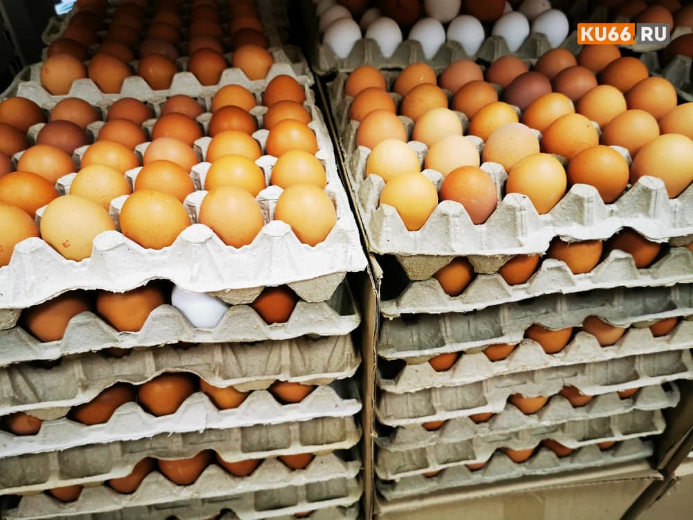 Что нужно есть, чтобы хорошо учиться? Советы доктора медицинских наук