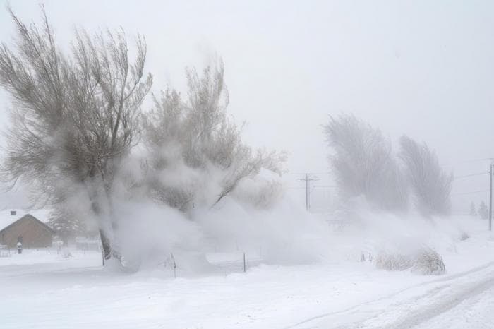 Метели и сильный снег придут в Свердловскую область с началом 2025 года