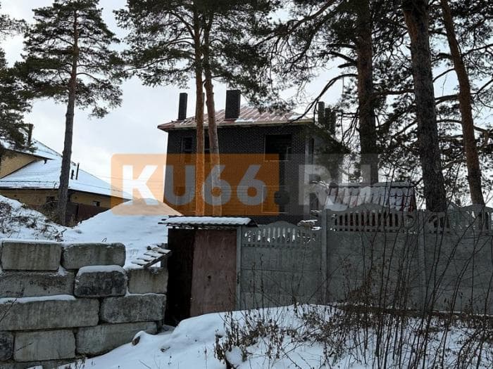 Собственник участка в Каменске-Уральском вырубил более 20 сосен ради вида из окна