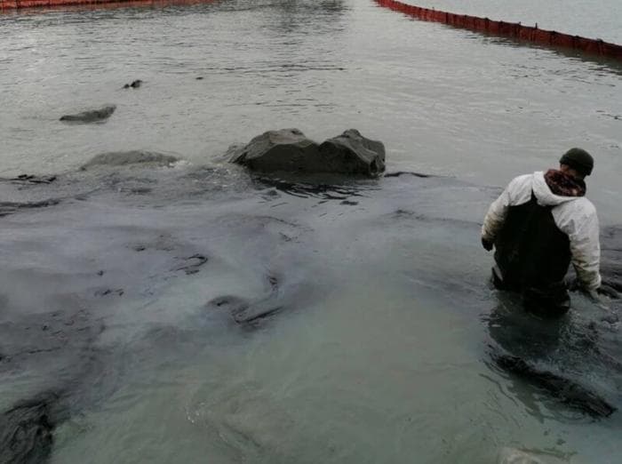 Ожоги и аллергия: россиянам придется забыть про отдых на Чёрном море из-за разлива мазута