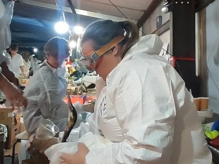 Работали до заката: история волонтера из Каменска-Уральского, спасавшей Черное море от мазута