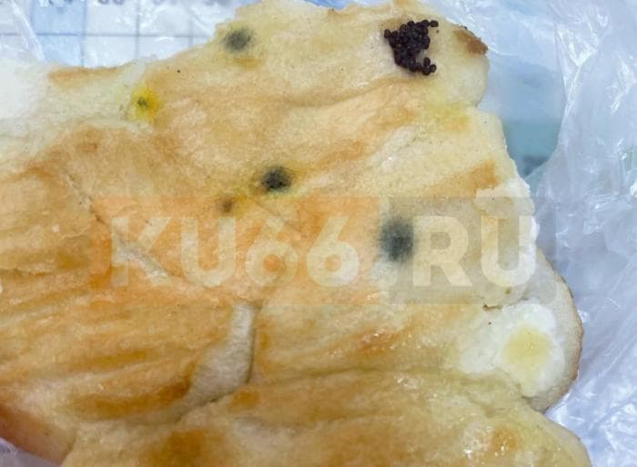 Выпечку с плесенью продали ребенку в кулинарии Каменска-Уральского. Фото