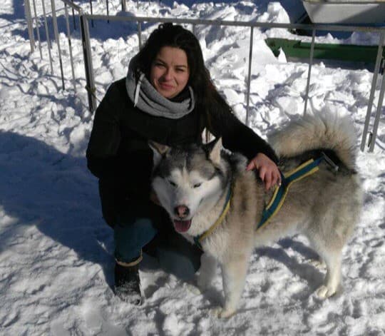 "Спонсоров у нас нет": директор каменского приюта "Бароша" рассказала о своем деле 