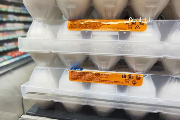 Как хранить яйца, чтобы не подхватить сальмонеллёз: советы эксперта