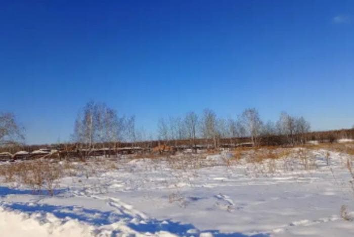 Грозит штраф до 700 тысяч рублей: в Каменском районе нашли свалку на сельскохозяйственных землях