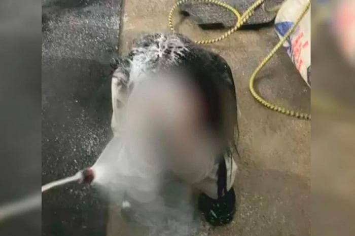 "Пожалуйста, не надо". Появилась запись, где девочка умоляла банду прекратить насилие. Видео