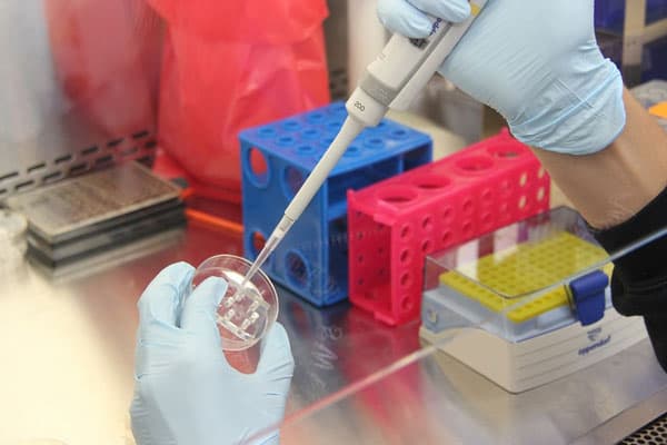 В популярных сосисках «Папа может» нашли опасные вещества