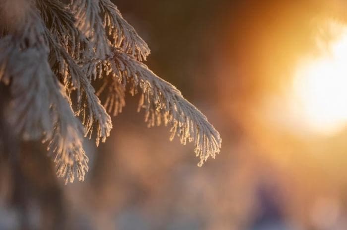 Погода в Свердловской области: дожди, ветер и потепление