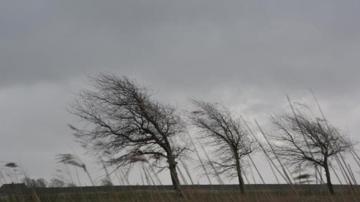 Мощный ветер обрушится на Урал 1 мая: МЧС советует не выходить на улицу