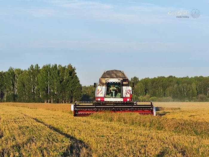 Теплая погода открыла сезон посевных работ в Свердловской области