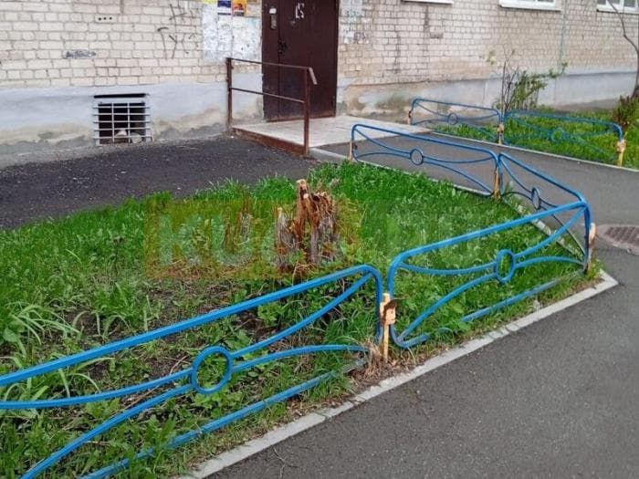 Каменцы пожаловались на "чистку": дворник спилила сирень и жасмин у дома на 4-й Пятилетки