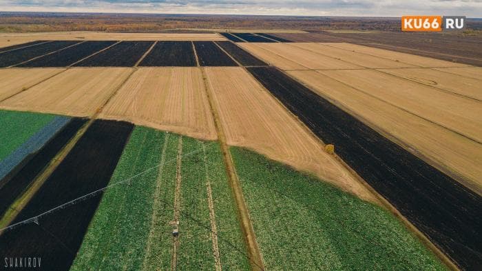 График химической обработки земель АО «Каменское»: будьте внимательны, пчеловоды!
