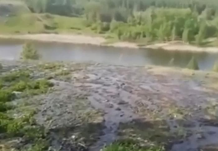 «Земля отравлена, трава не растет»: фекалии снова текут по улицам пгт Мартюш Каменского района