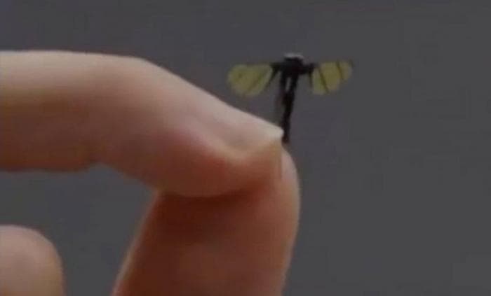 Невидимый шпион: китайский дрон размером с насекомое пугает мир своими возможностями